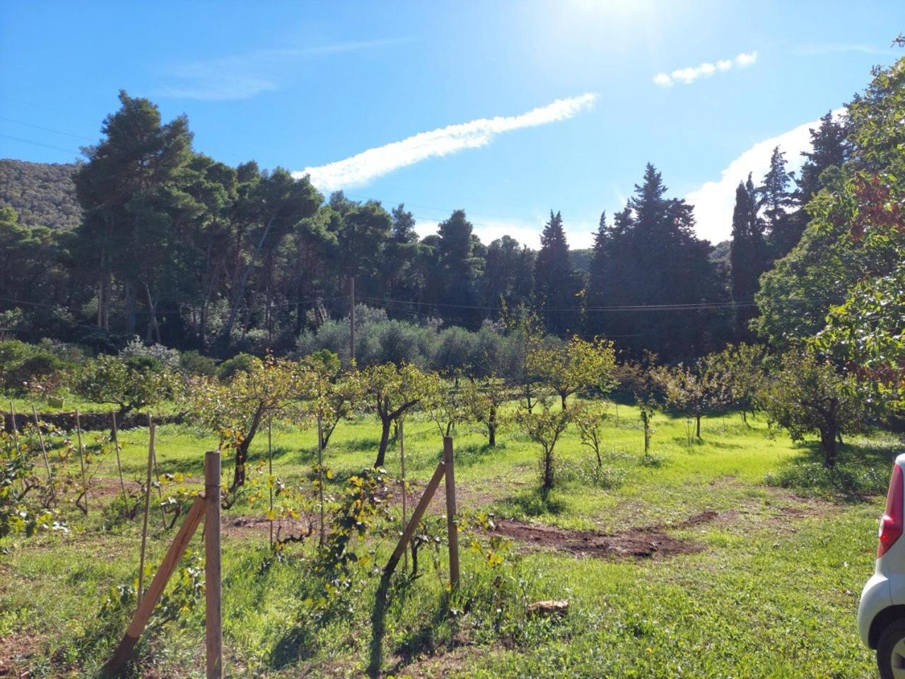 Agriturismo Paradisa Rio dellʼElba Екстериор снимка