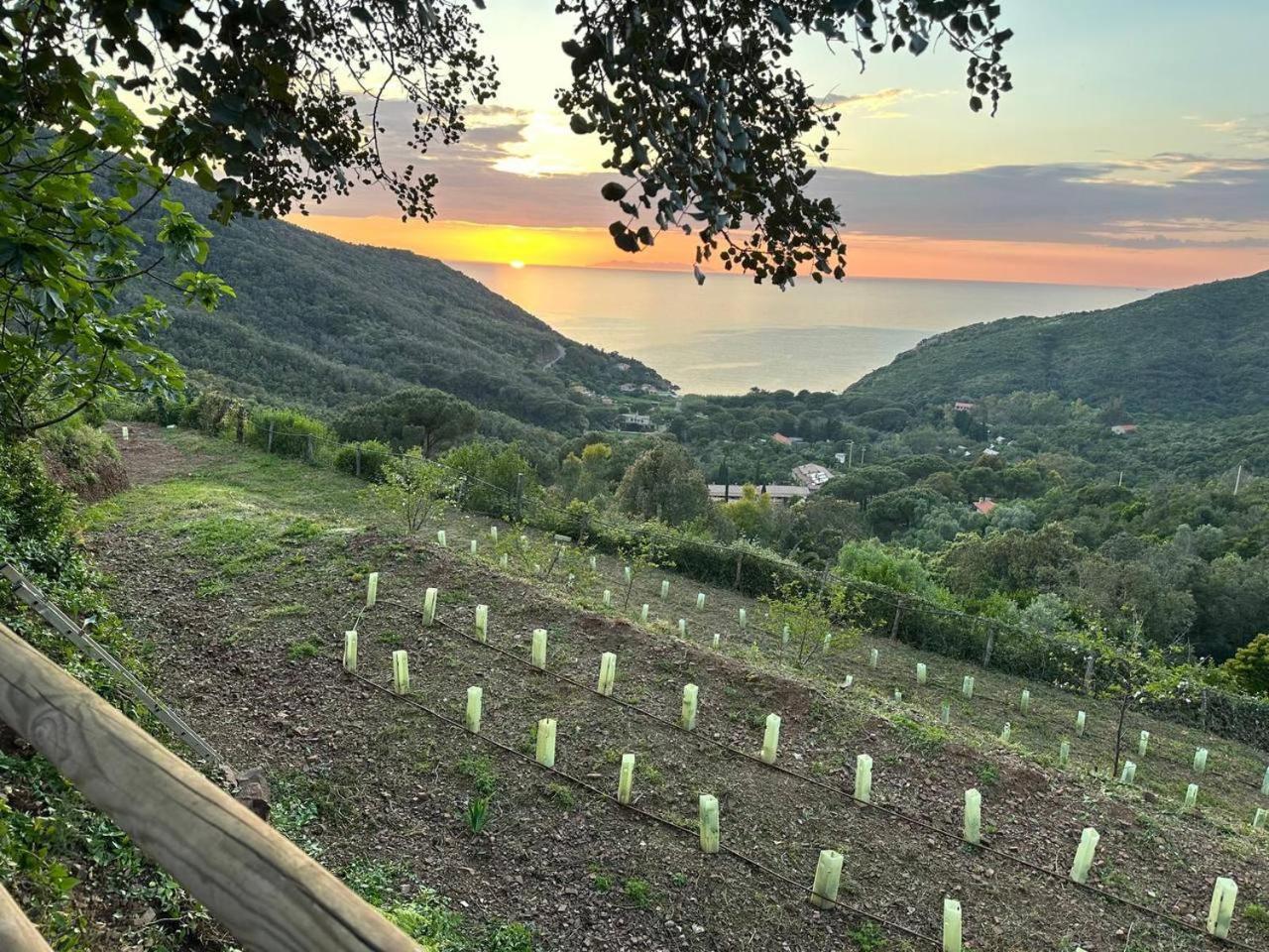 Agriturismo Paradisa Rio dellʼElba Екстериор снимка